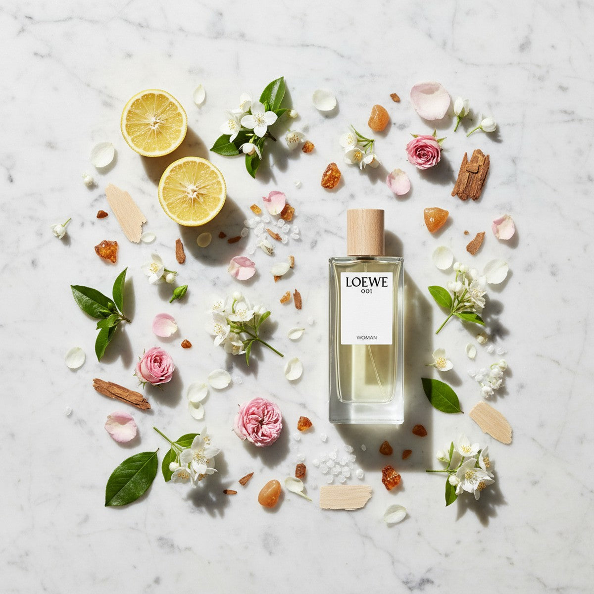 Loewe 001 Woman