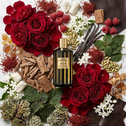 Aoud Line