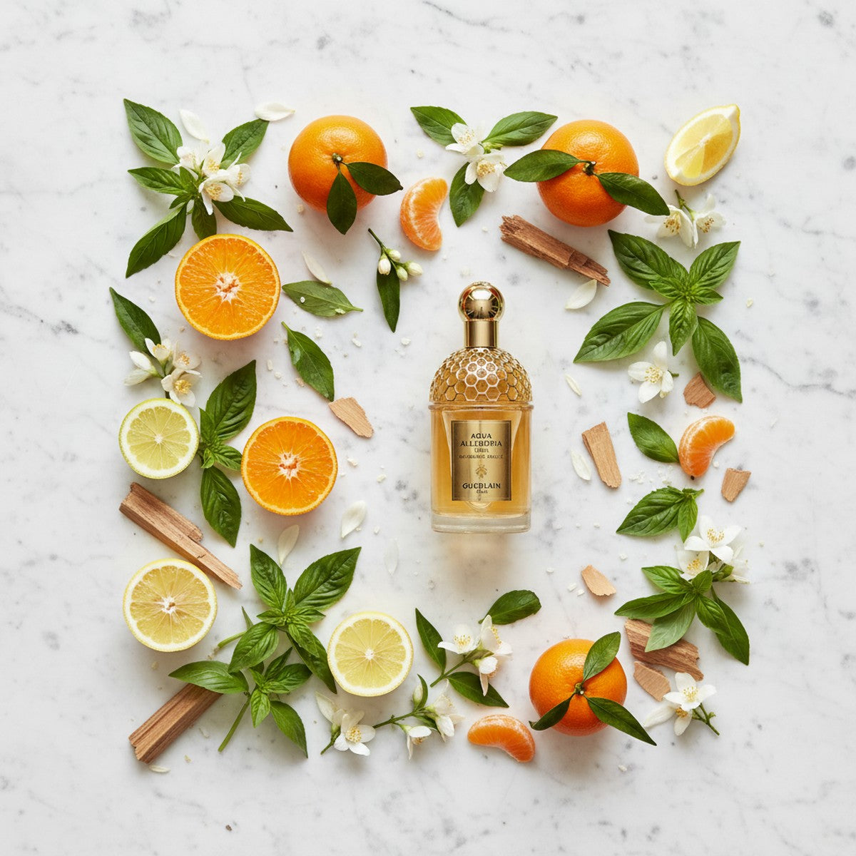 Aqua Allegoria Forte Mandarine Basilic