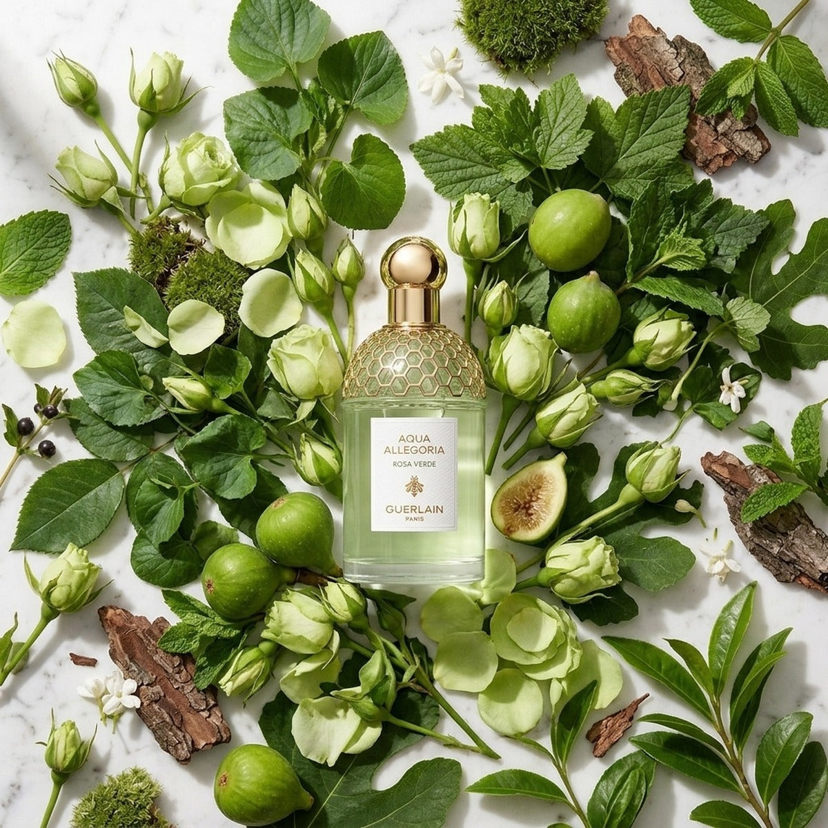 Aqua Allegoria Rosa Verde — ingredients