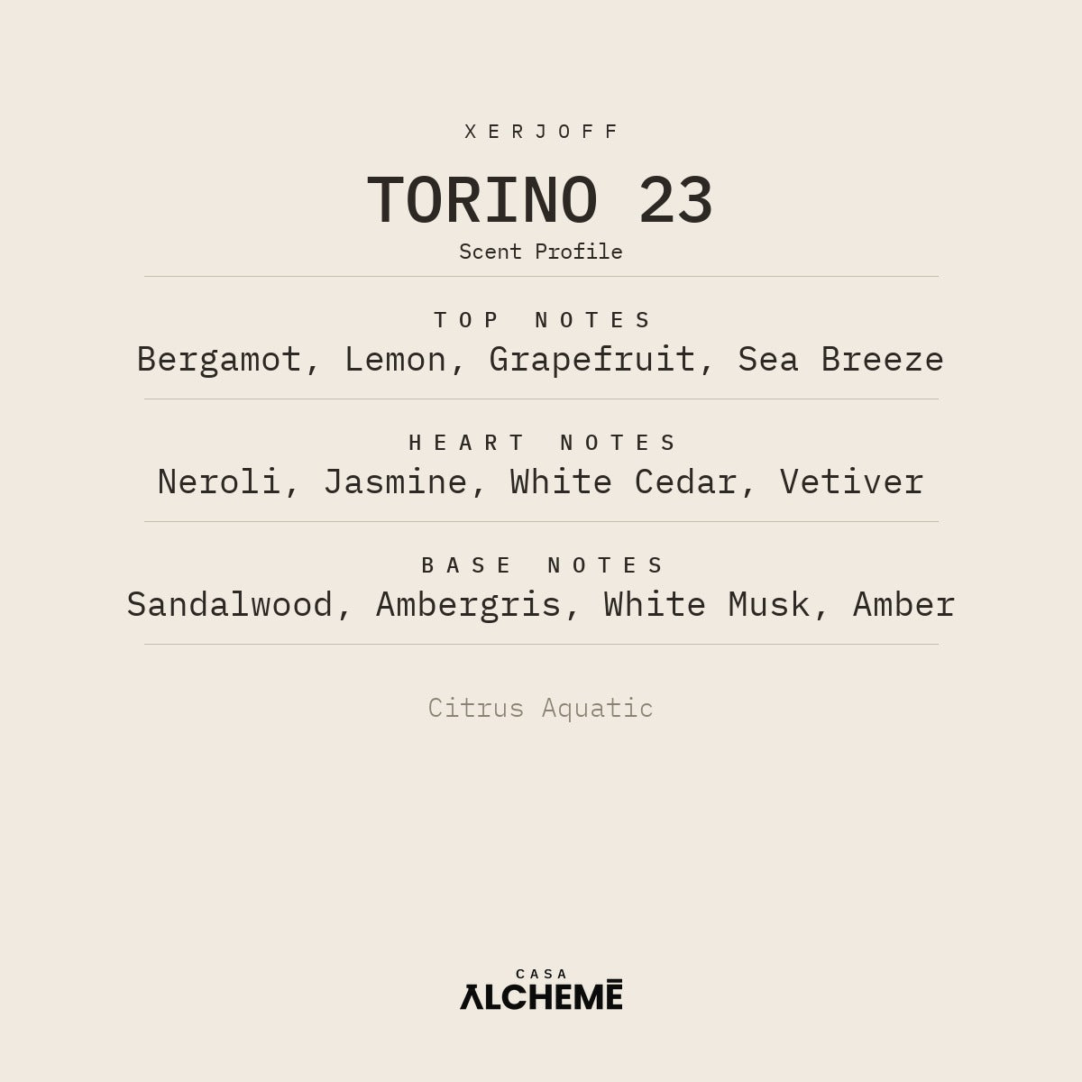 Torino23