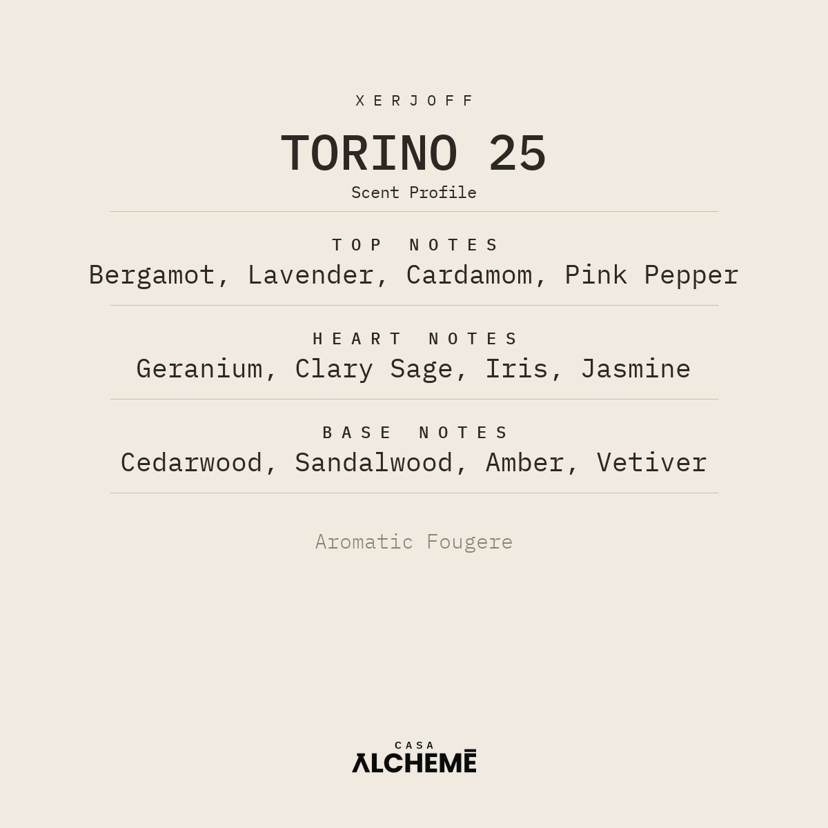Torino25