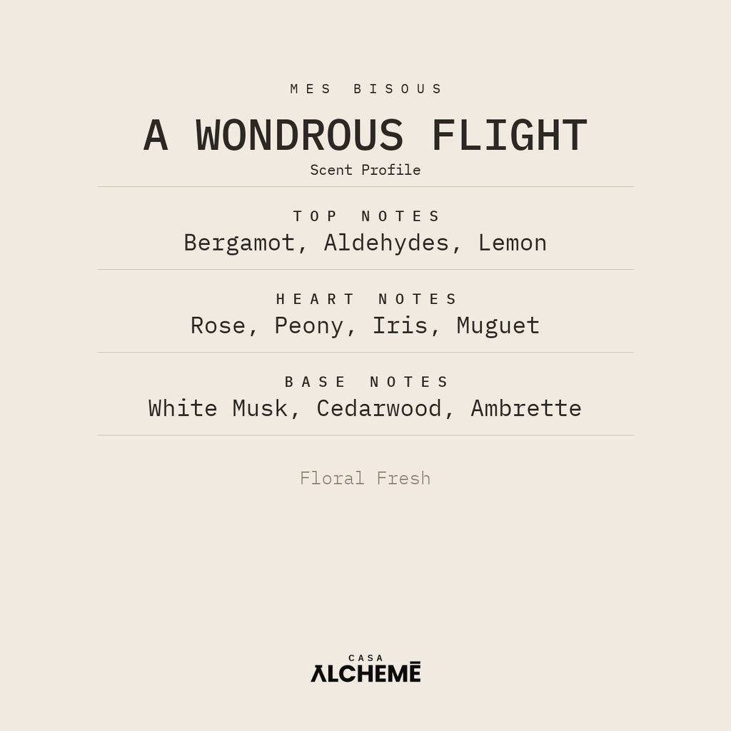 A Wondrous Flight