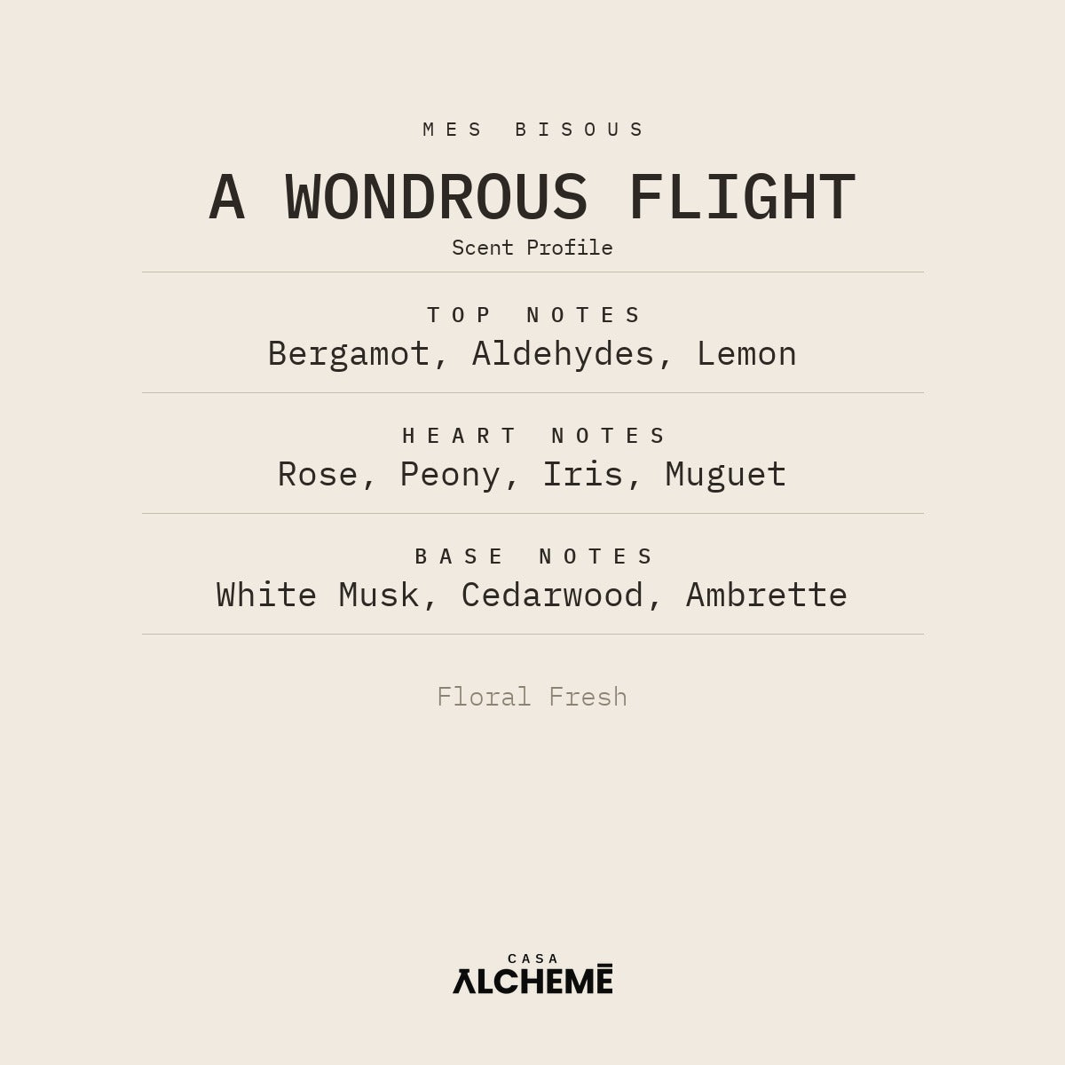 A Wondrous Flight