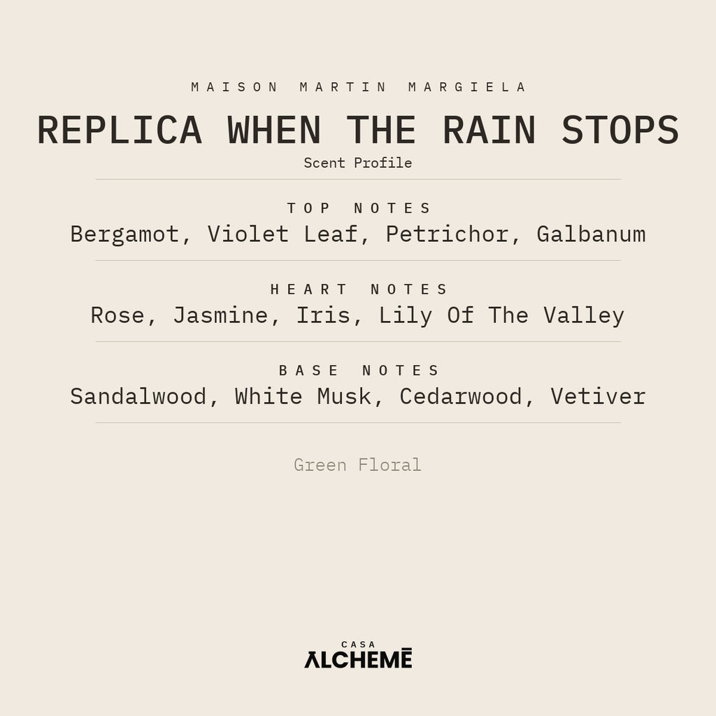 When the Rain Stops